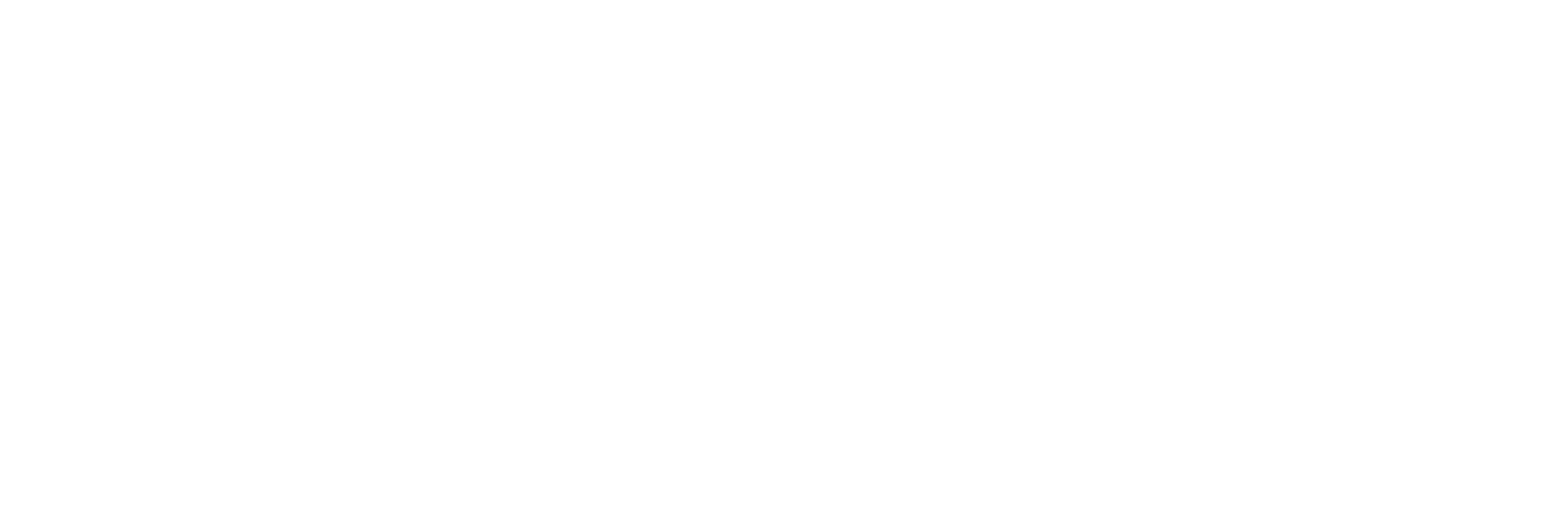 google logo white