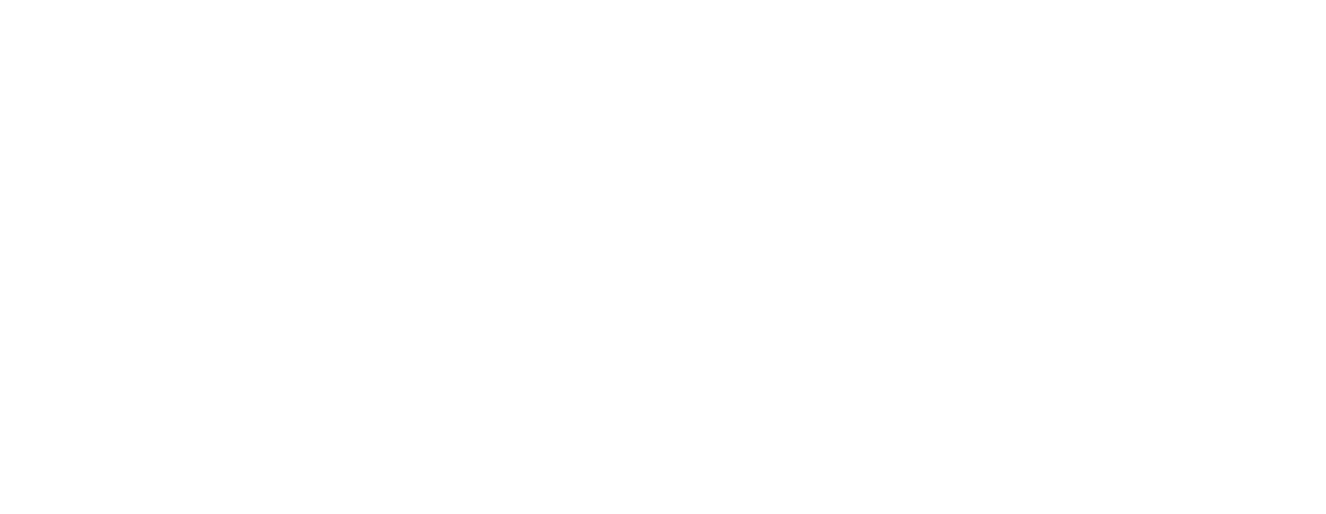 workday logo white